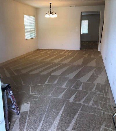 Adams Carpet Care freshly cleaned empty room carpet